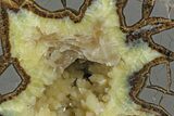 Wide, Crystal Filled Septarian Geode Bookends - Utah #167887-1